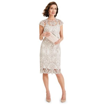 Mother of the Bride Dresses for Women Over 60